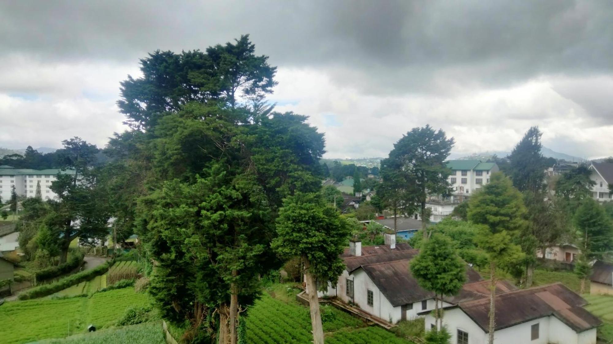 Nuwara Eliya Luxury Apartment Dış mekan fotoğraf
