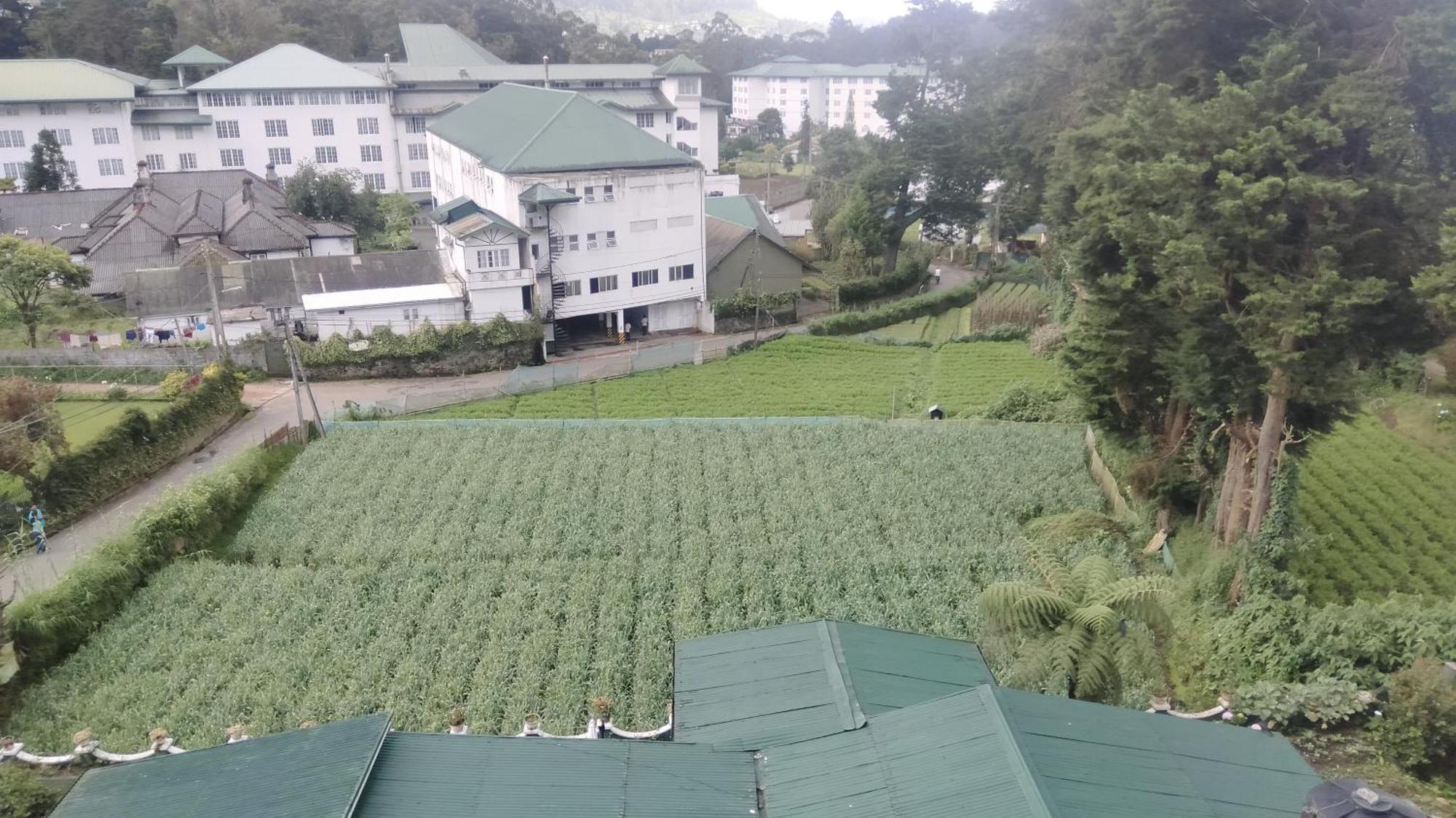 Nuwara Eliya Luxury Apartment Dış mekan fotoğraf